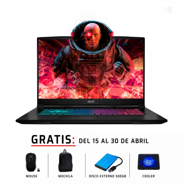 Laptops MSI KATANA 17 B13VFK 17.3”  Intel Core i7-13620H