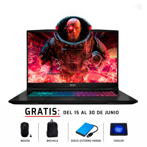 Laptops MSI KATANA 17 B13VFK 17.3” Intel Core i7-13620H
