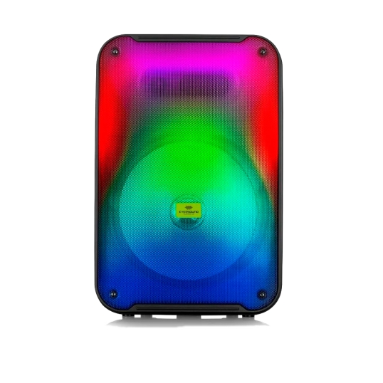 Parlante Eversound 3001 Flaming 12"  - 1