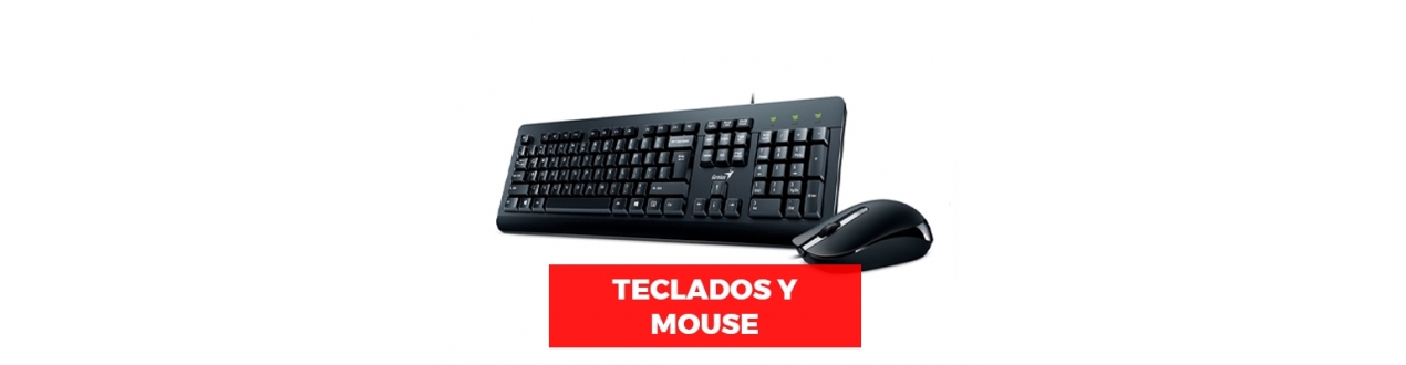 Teclados, Mouse & Pad mouse